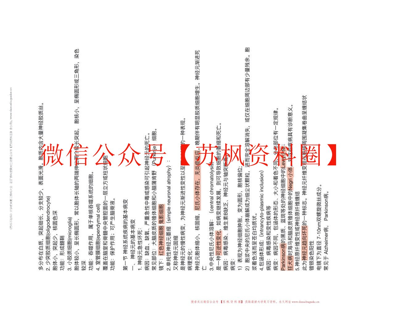中枢神经系统